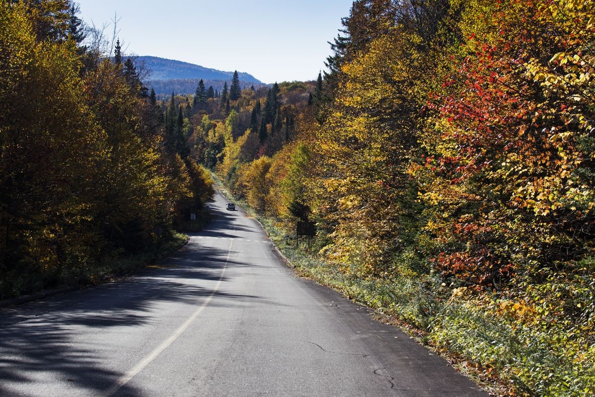 Autumn road